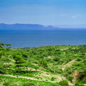 abyata-shala-park ethiopia