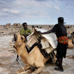 Salt excavation plain ethiopia